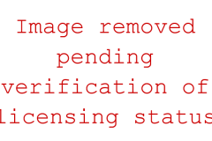 image_removed